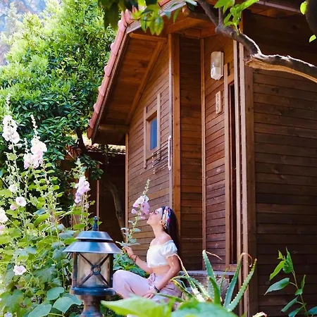 Sheriff, Olympos Homestay Kumluca