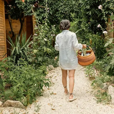 Homestay Sheriff, Olympos