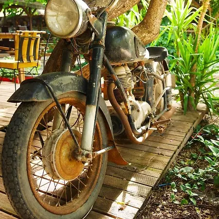 Homestay Sheriff, Olympos Kumluca