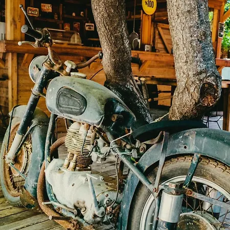 Sheriff, Olympos Homestay