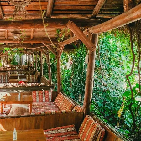 Sheriff, Olympos Homestay Kumluca