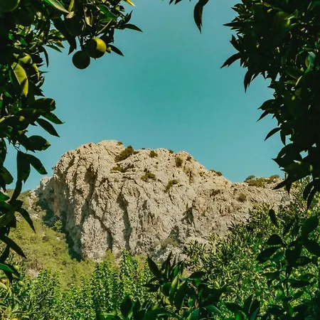 Olympos Sheriff
