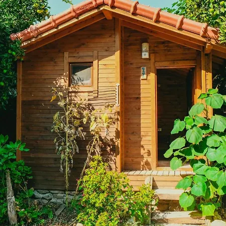 Olympos Sheriff Accommodatie bij particulieren