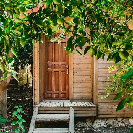 Accommodatie bij particulieren Olympos Sheriff Kumluca