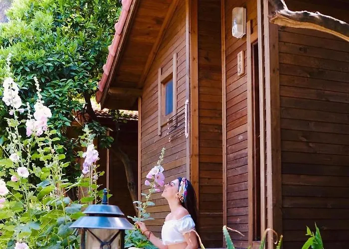 Sheriff, Olympos Homestay szállás Kumluca