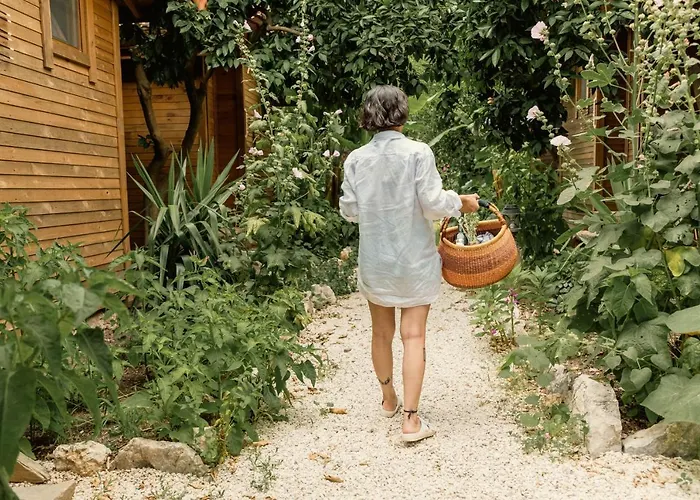 Homestay szállás Sheriff, Olympos