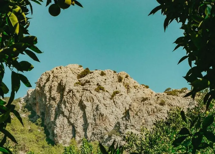 Sheriff, Olympos