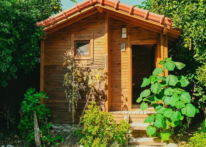 Sheriff, Olympos Homestay szállás
