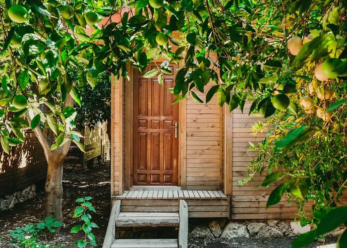 Homestay szállás Sheriff, Olympos Kumluca